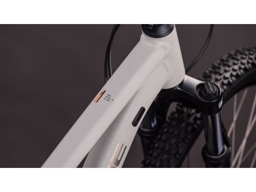 velosiped-cube-aim-pro-29-2026-greige-n-titan-3.jpg