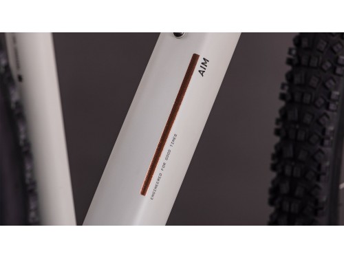 velosiped-cube-aim-pro-29-2026-greige-n-titan-5.jpg