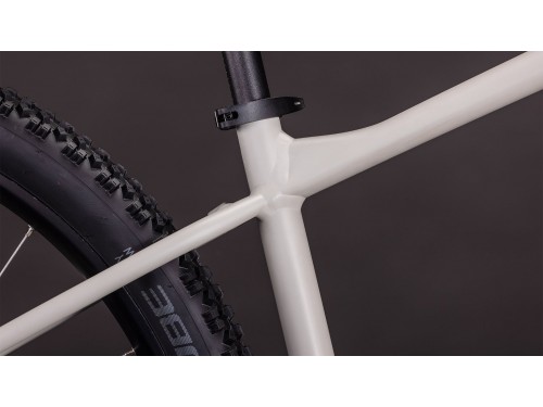 velosiped-cube-aim-pro-29-2026-greige-n-titan-6.jpg