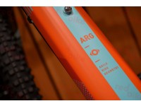 Ty_cube-access-ws-pro-2021-blue-orange-redbike-catalog13.jpg